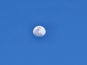 Blue Sky Moon