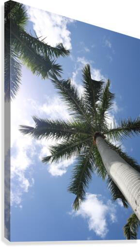 Paradise 1 Canvas Print