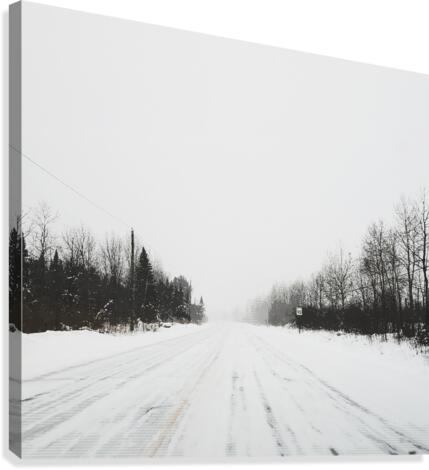 Road again  Canvas Print