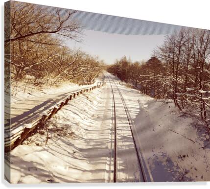 Runaway Canvas Print