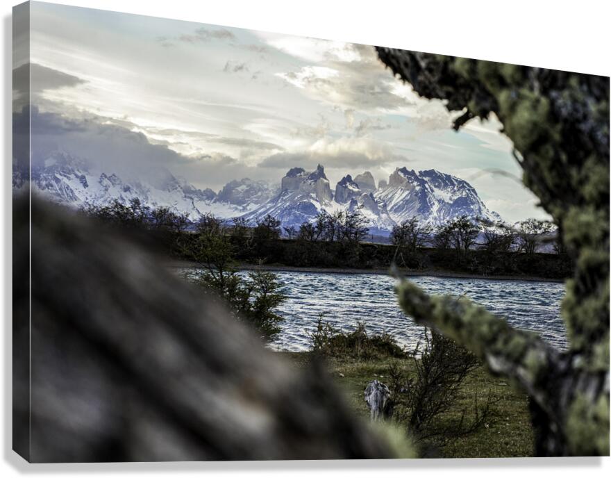 Cold Horizon Canvas Print