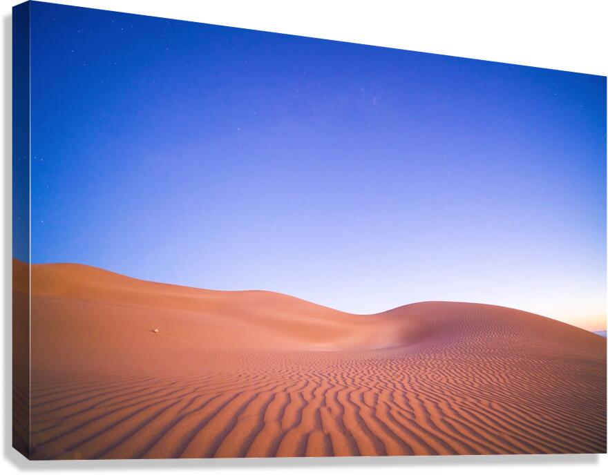 Windswept Canvas Print