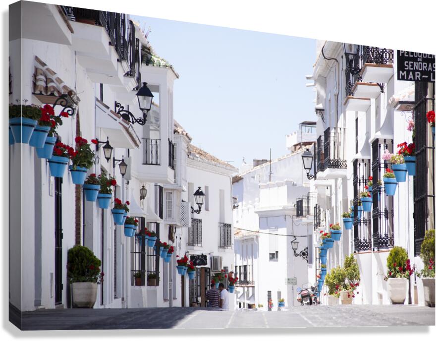Stroll Canvas Print