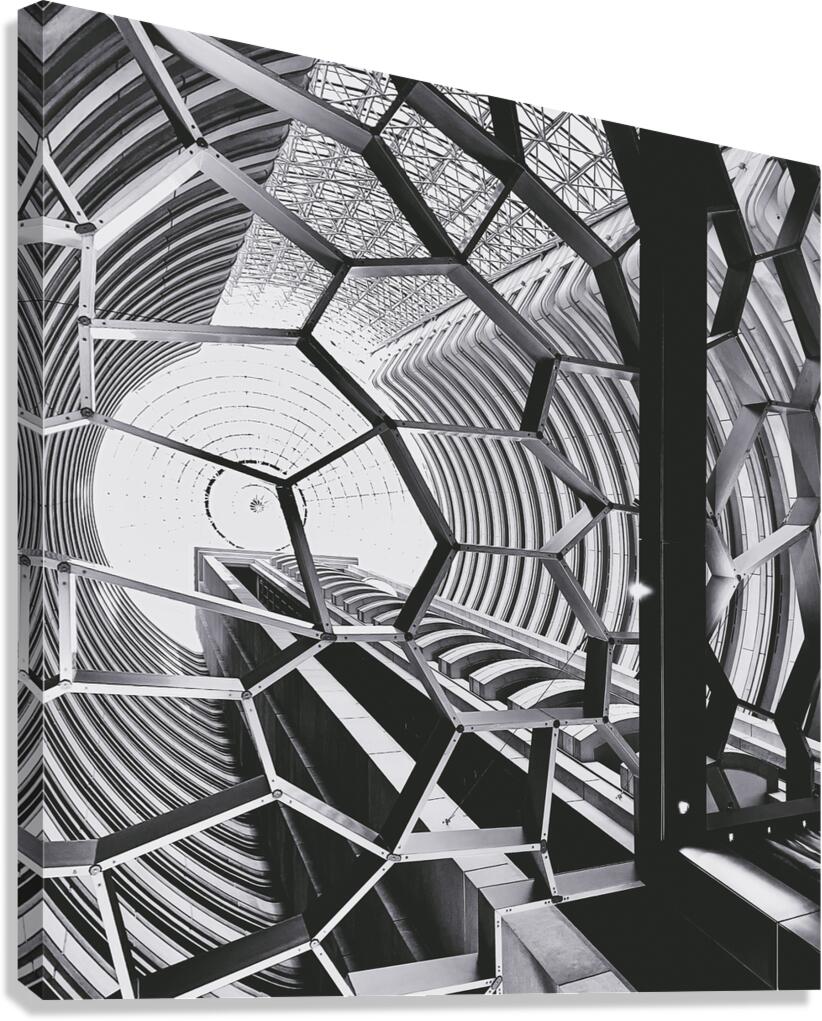 Elevate Canvas Print