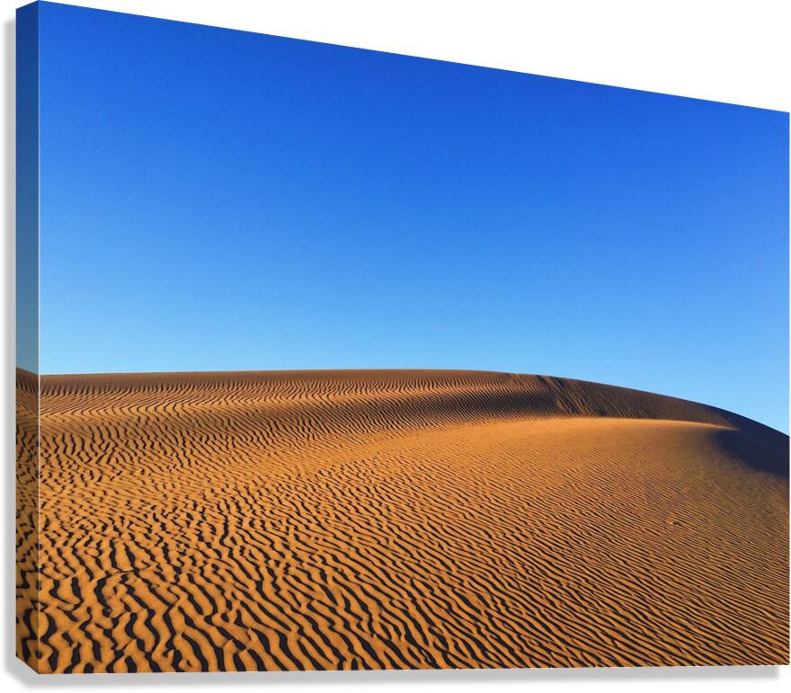 Tracks Canvas Print