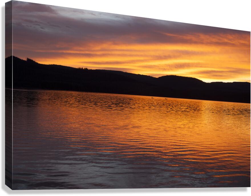 Silence Canvas Print