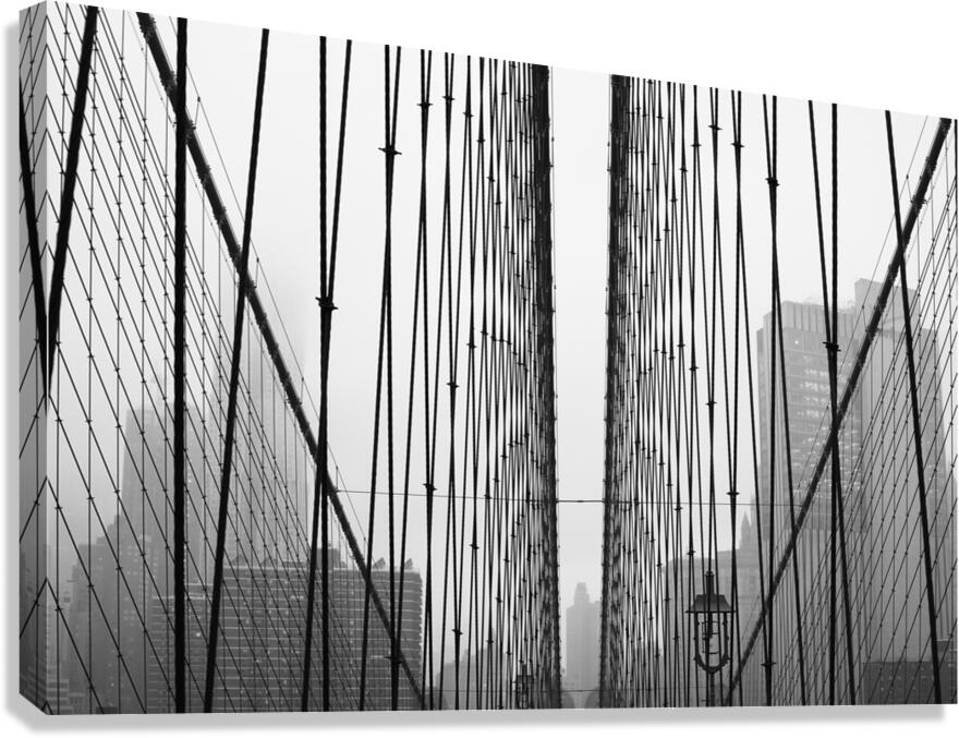 Barriers Canvas Print