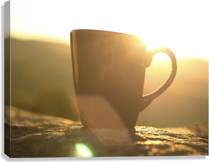 Early Riser Canvas Print
