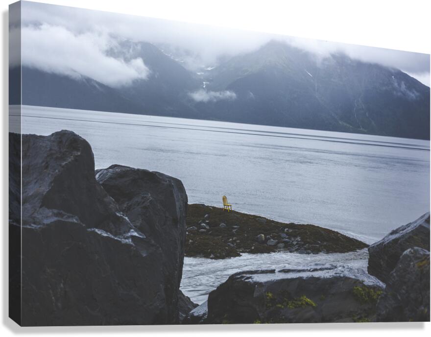Contemplate Canvas Print