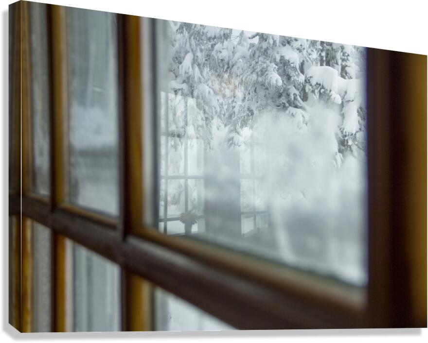 Warmth Canvas Print