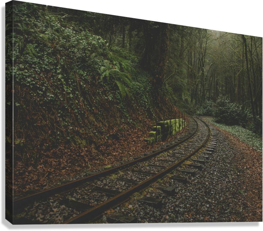 Passing Through Canvas Print