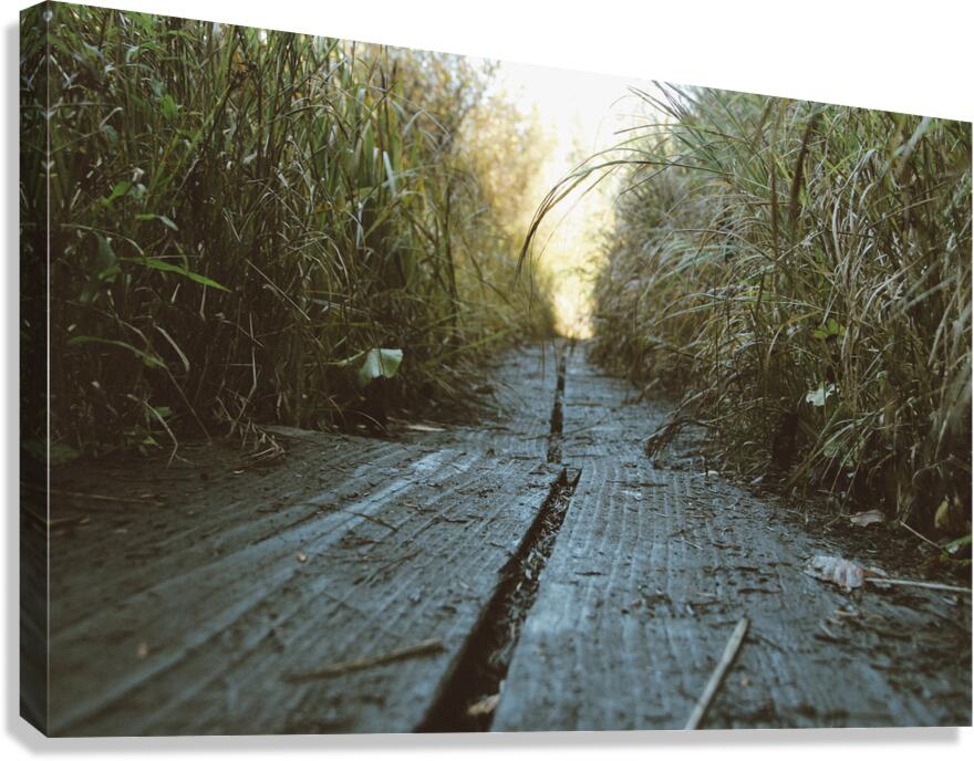 Boardwalk Canvas Print