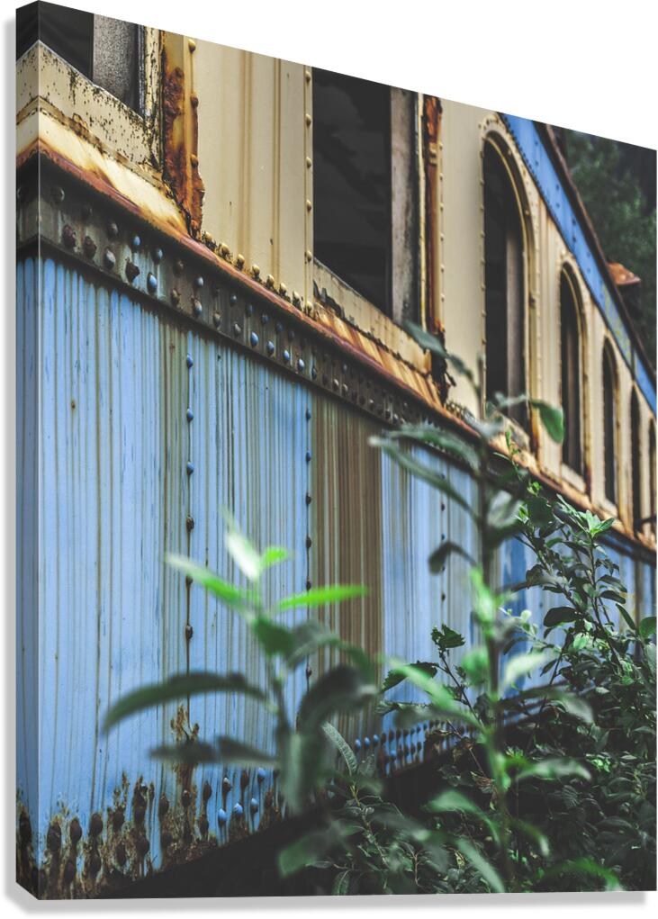 Rust Canvas Print