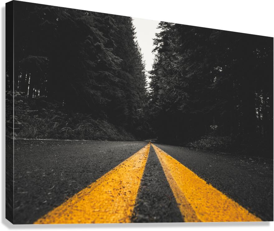 Outbound Canvas Print