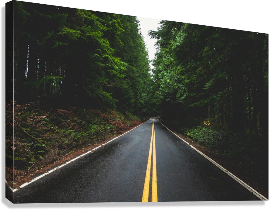 Steady Canvas Print