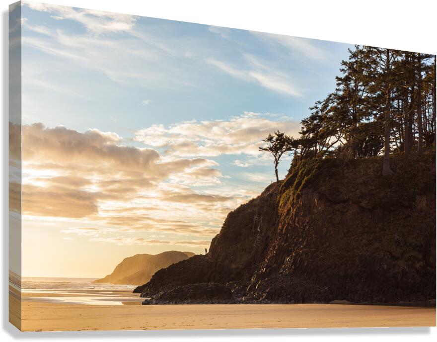 Low Tide Canvas Print
