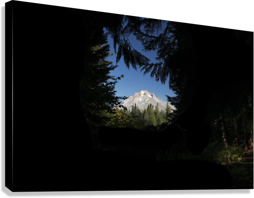 Focus Canvas Print