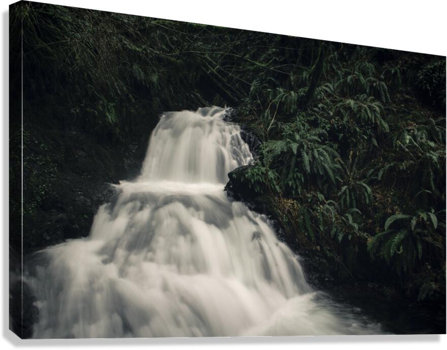 Flow Canvas Print