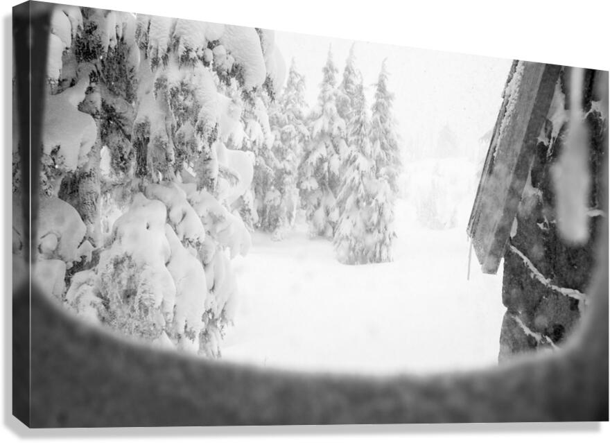 Frosty Canvas Print