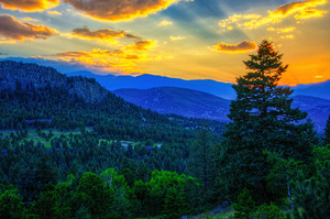 Evergreen Sunset