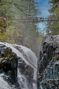 Bridge Across The Falls