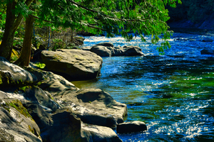 The Oyster River 1