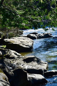 The Oyster River 2