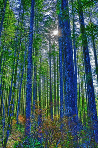 Oyster River Park