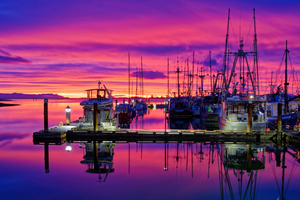 Sunrise At Comox Marina 1
