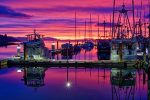Sunrise At Comox Marina 3