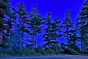 Blue Hour