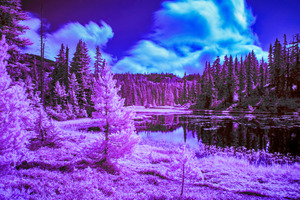 Mt. Washington 3