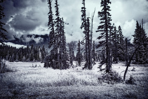 Mt Washington 2 B&W