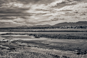 Komoks Fish Traps 2
