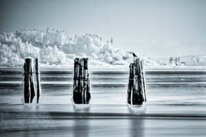 Royston Wrecks IR