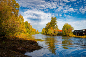 The Bridge Upstream