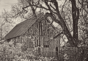 Weathered
