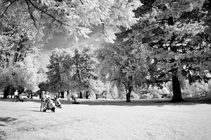 Golfing Afternoon