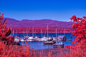 Harbour View