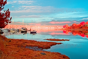 Comox Harbour In Infrared