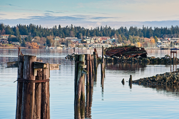 Royston Ship Wrecks Print