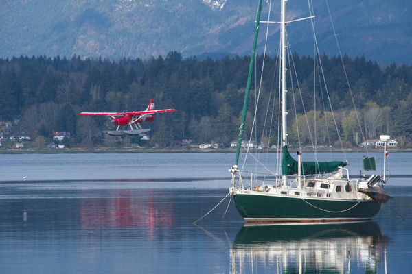 The Morning Landing Print