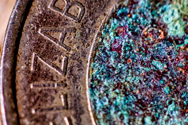 Toonie  Print