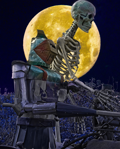 Attack By Moonlight  Print
