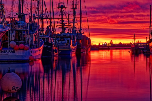 Sunrise At Comox Marina 5  Print