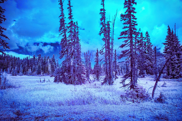 Mt. Washington 2 Print