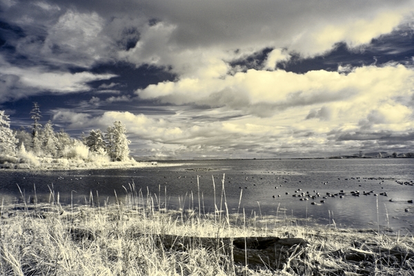 Clouds Over Comox Harbour Print