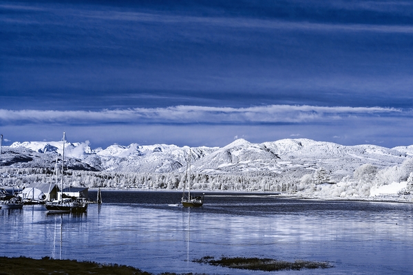 Peaceful Harbour  Print