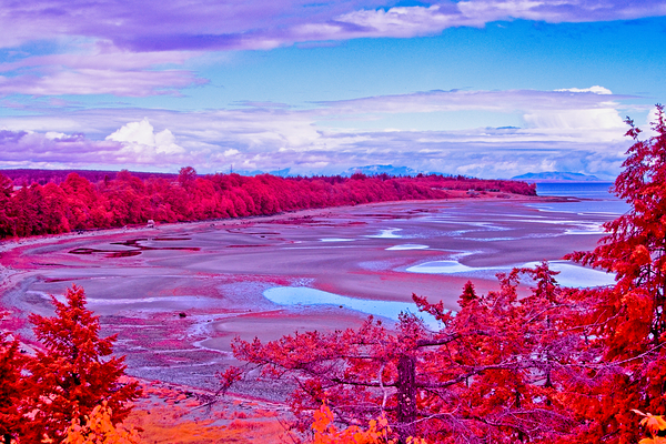 Kye Bay In Infrared Print