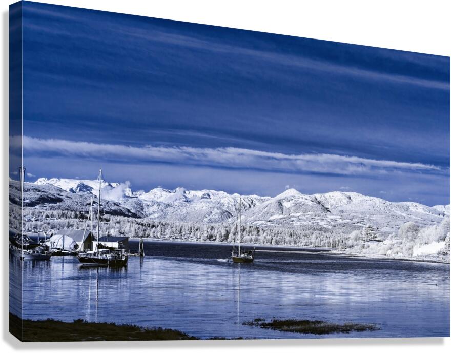 Peaceful Harbour  Canvas Print